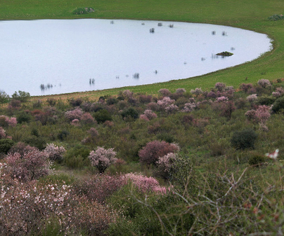 Laguna Volcánica de Michos