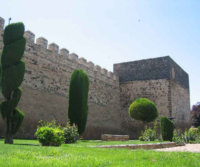 Visita Castillo De Dona Berenguela Tclm