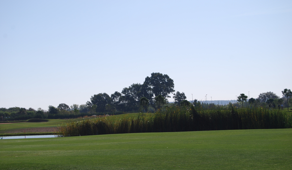 Palomarejos Golf