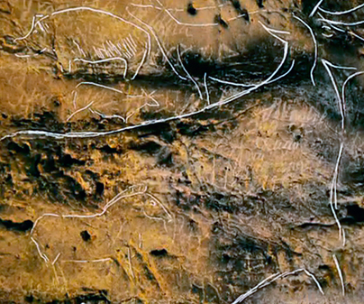 Arte rupestre - Paleolítico