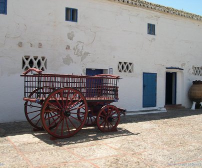 Ventas y Molinos- Puerto Lápice