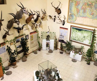Museo de las Ciencias Naturales AVAN