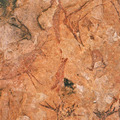Arte rupestre –Levantino Nerpio