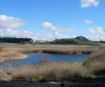 Laguna de Alboraj
