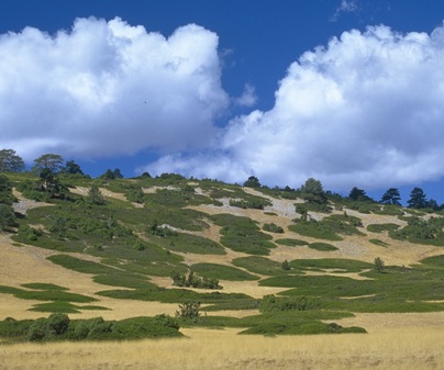 Parque Natural Serranía de Cuenca