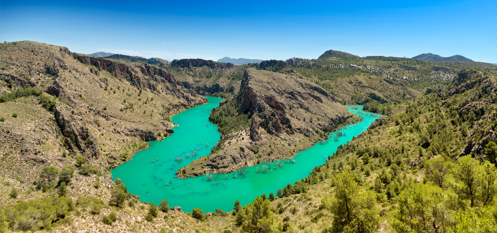 Resultado de imaxes para castilla la mancHA TIRIMOS VERDE