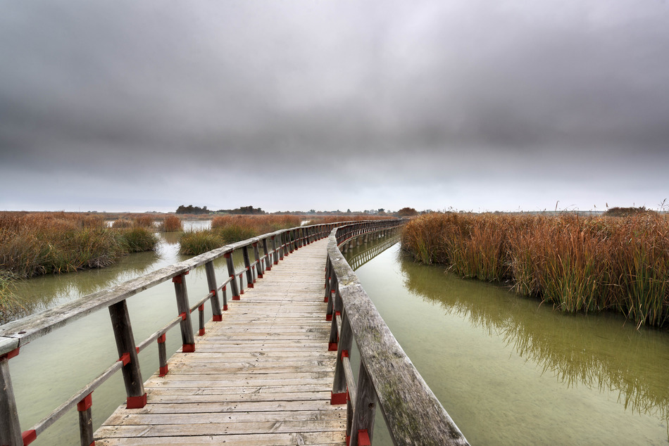 Tablas_Daimiel Tablas_Daimiel