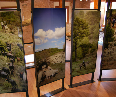 Museo ganadería tradicional del Alto Tajo (Checa)
