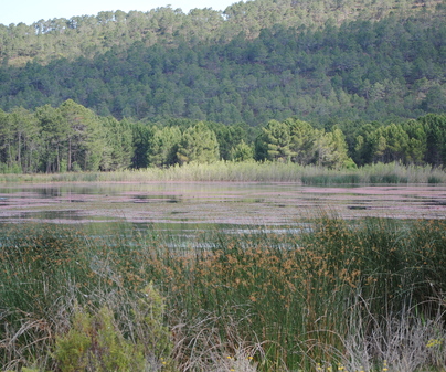 Laguna de Talayuelas