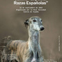 Exposición Nacional Canina de "Especial Razas Españolas"