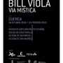 Bill Viola - Vía Mística