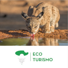Turismo Ecológico (ECOTURISMO)