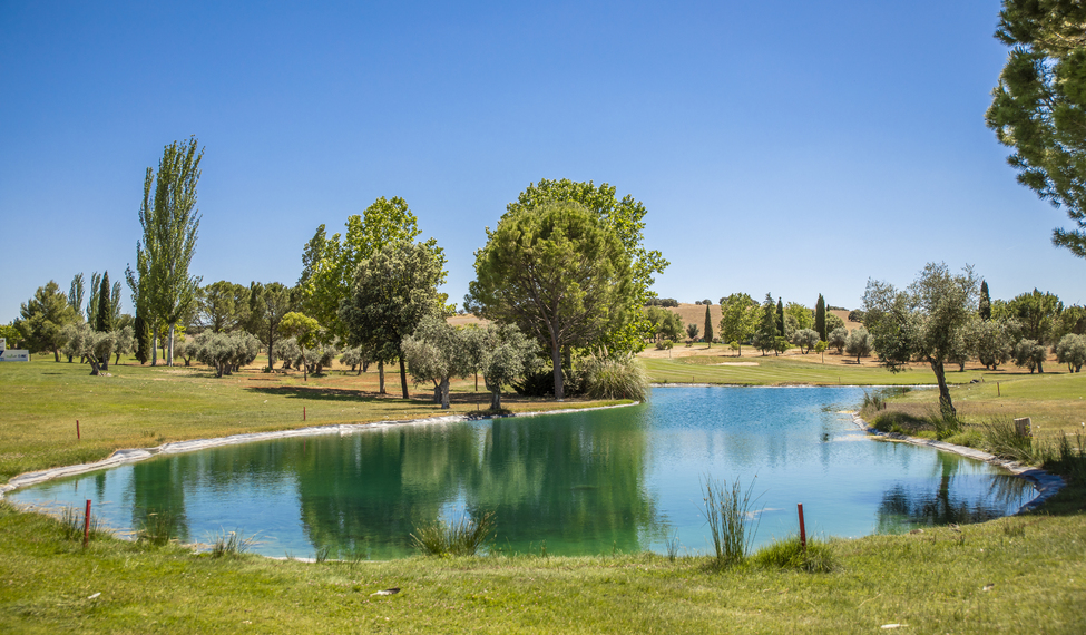 Golf Ciudad Real