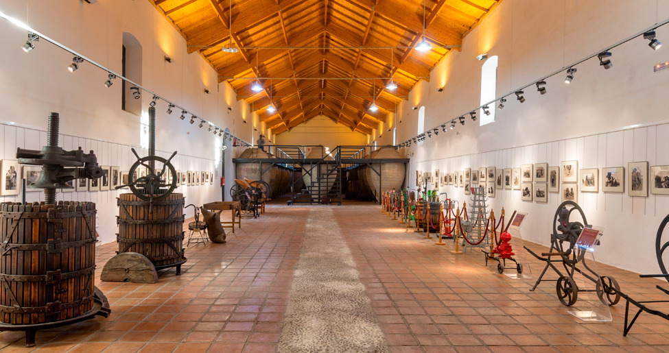 Museo del Vino Valdepeñas