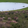 Laguna Volcnica de Michos