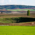 Complejo Lagunar de Arcas