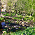 Reserva Fluvial del Río Pelagallinas
