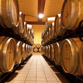 Bodegas Iniesta, en Fuentealbilla (Albacete)