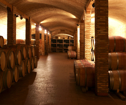 Bodega Manuel Manzaneque  S.L.U.