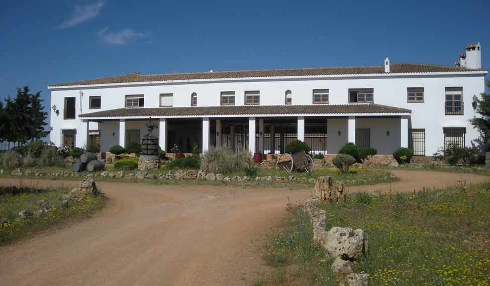 Bodega Manuel Manzaneque  S.L.U.