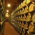 Bodega Ayuso
