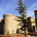 VIN&#771;EDOS Y BODEGAS EL CASTILLO
