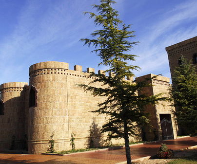 VIN&#771;EDOS Y BODEGAS EL CASTILLO