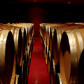 Bodegas del Saz