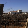 Bodegas Illana