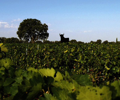 Bodegas Osborne