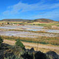 Salinas - Olmeda de Jadraque