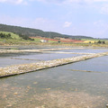 Salinas -Tierzo