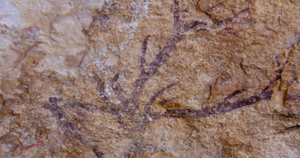 Arte rupestre Levantino Nerpio