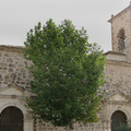 Iglesia de Castejón Iglesia de Castejón