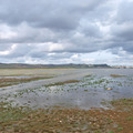 Laguna del Hito