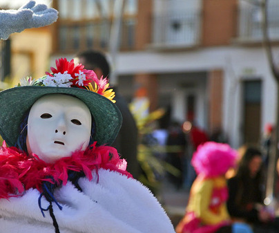 Carnavales de Miguelturra /<b>Milln Gmez</b>