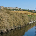 Real Acequia el Jarama – Alameda de la Sagra