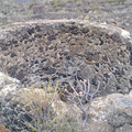 Molino de agua La Pasadilla
