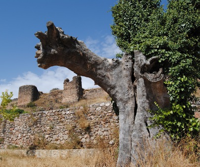 Castillo de Ripar