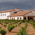 Bodegas y Viñedos Pinuaga