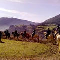 Complejo Rural Multiocio La Pesquera