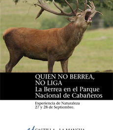 Portada quien no berrea no liga