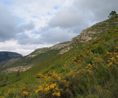 Cerro de Rala