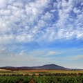 Caceras Campo de Montiel Portada