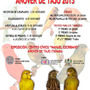 XIX Concurso Ornitolgico