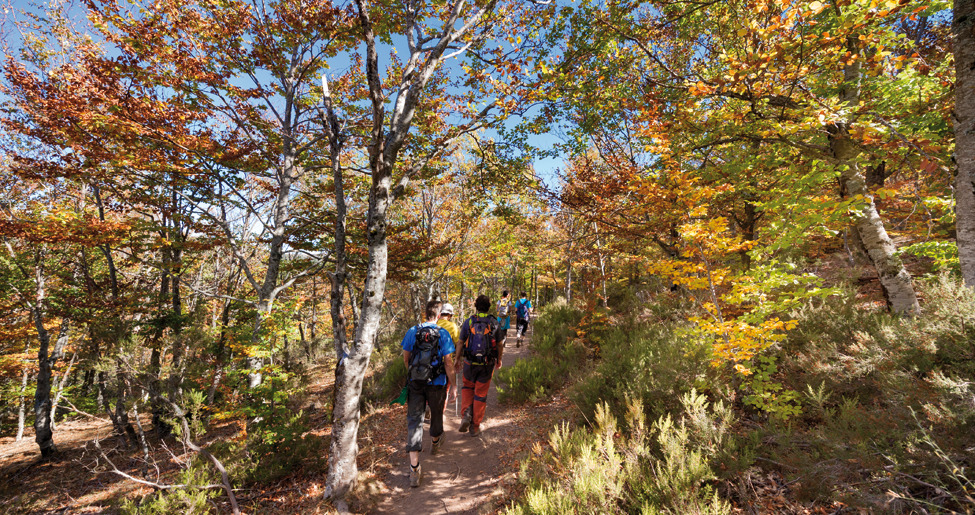 Hayedo 3 Blog Hayedo 3 Blog