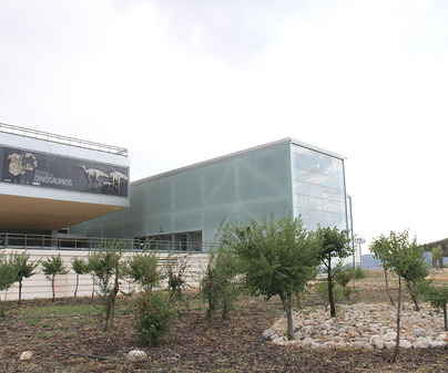 Museo Paleontolgico C-LM