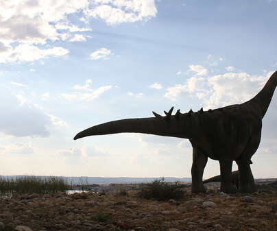 Museo Paleontolgico C-LM