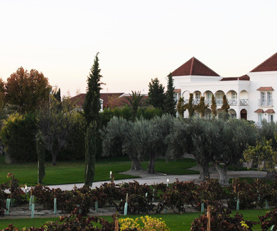 Bodega Casa del Valle