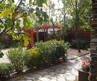 Casa Los Tres Olivos